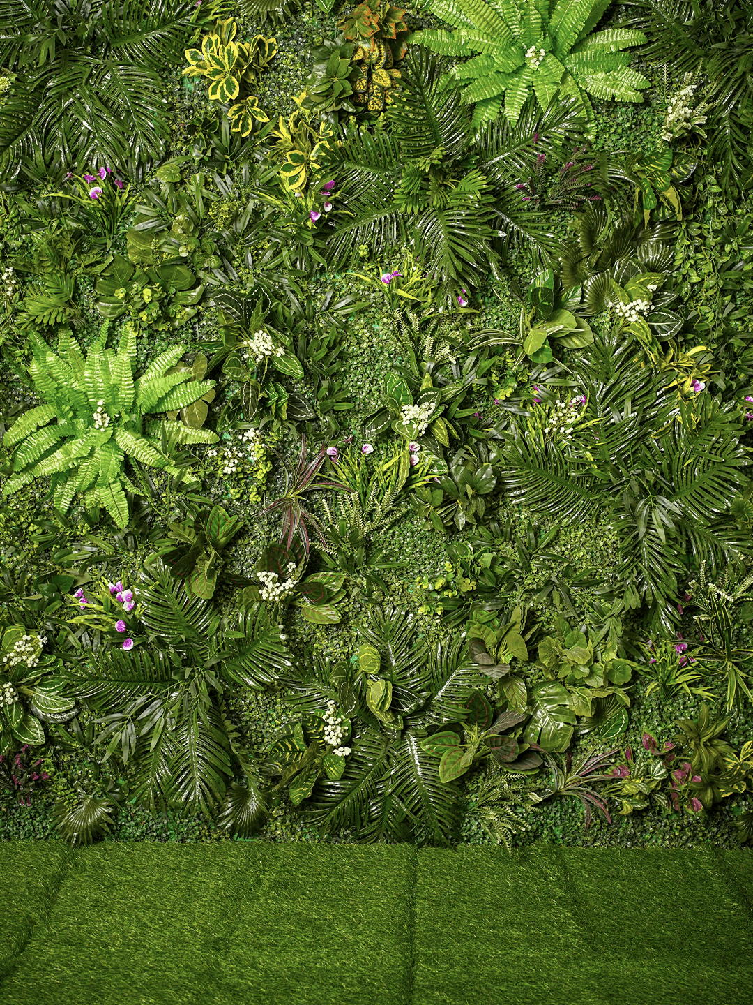 Lush Paradise